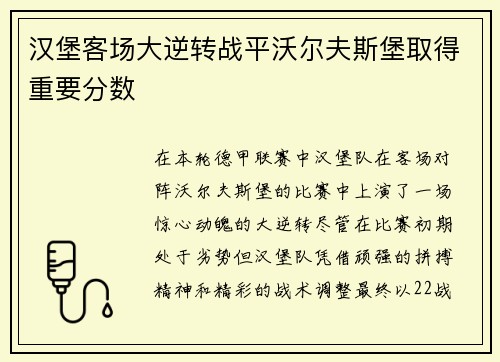 汉堡客场大逆转战平沃尔夫斯堡取得重要分数